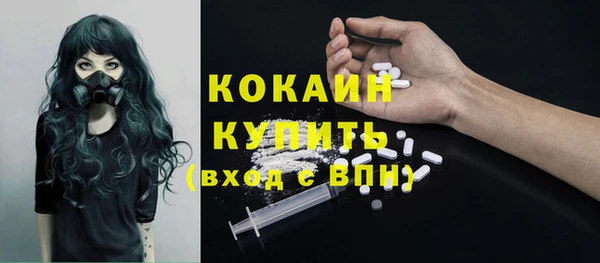 дживик Балахна