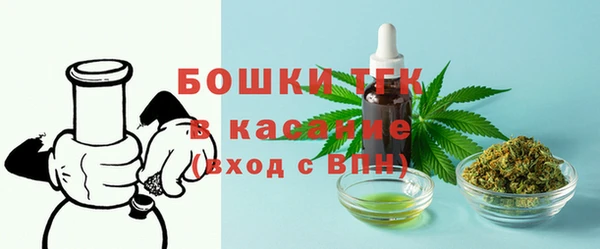 дживик Балахна